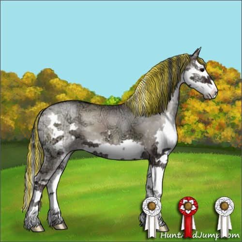 Horse Color:Painted Grullo Ice Onyx Sabino Splash 
