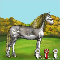 Horse Color:Painted Grullo Ice Onyx Sabino Splash