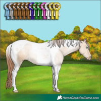 Horse Color:Gray Sable Cream Champagne Pearl Tobiano 