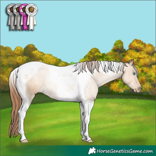 Horse Color:Gray Sable Cream Champagne Pearl Tobiano