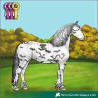 Horse Color:Grullo Ice Onyx Sabino Splash 