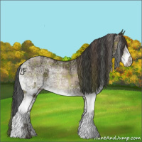 Horse Color:Plaid White Spotted Bay Ice Dun Mushroom Rabicano