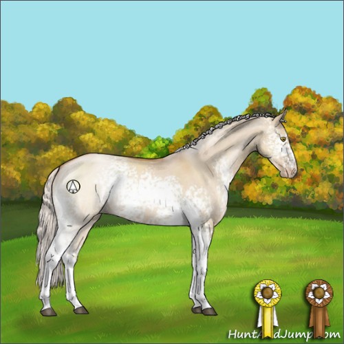 Horse Color:White Spotted Silver Brown Pearl Dun Sabino