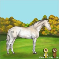 Horse Color:White Spotted Silver Brown Pearl Dun Sabino 