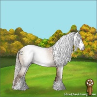 Horse Color:Gray Silver Classic Champagne Sabino