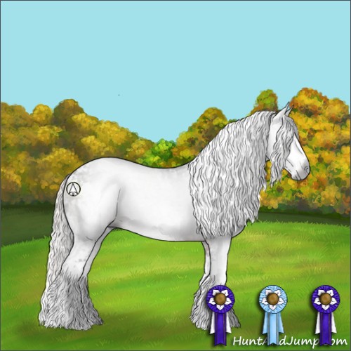 Horse Color:Gray Silver Brown Sabino 
