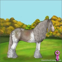 Horse Color:White Spotted Silver Black Sabino 