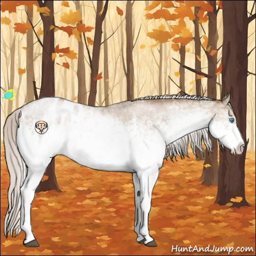 Horse Color:White Spotted Silver Smoky Black Ice Pearl Appaloosa 