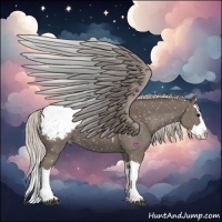 Horse Color:Silver Black Splash Snowcap 