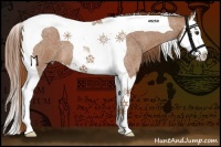 Horse Color:Red Roan Splash Tobiano 