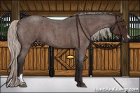 Horse Color:Silver Brown Roan 