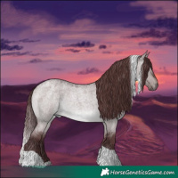 Horse Color:Platinum Chocolate Brown Roan Dun Tobiano 