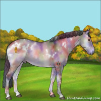 Horse Color:Nacre White Spotted Brown Onyx Sabino 