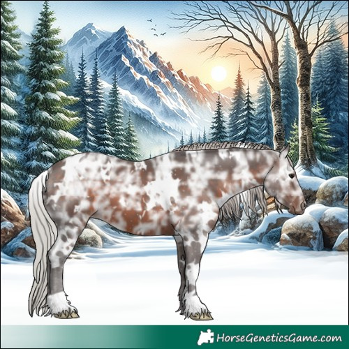 Horse Color:White Spotted Silver Brown Ice 