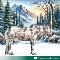 Horse Color:White Spotted Silver Brown Ice 
