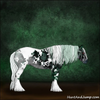 Horse Color:Watercolor White Spotted Silver Black Chinchilla Ice