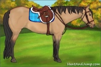 Horse Color:Bay Dun
