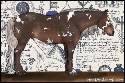 Horse Color:White Spotted Silver Brown Sabino