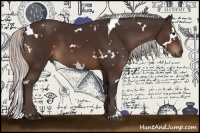 Horse Color:White Spotted Silver Brown Sabino 
