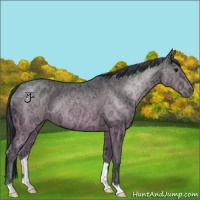 Horse Color:Brown Ice 