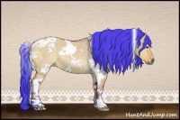 Horse Color:Watercolor White Spotted Buckskin Dun 