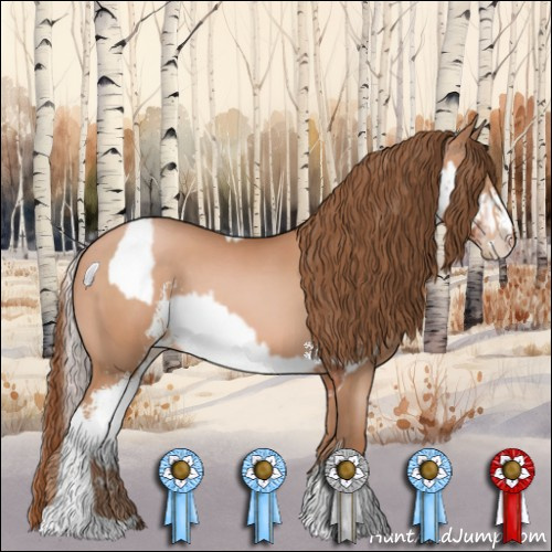 Horse Color:White Spotted Silver Brown Appaloosa  and Bay Pearl Sabino 