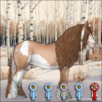 Horse Color:White Spotted Silver Brown Appaloosa  and Bay Pearl Sabino 