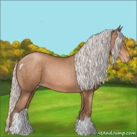 Horse Color:Silver Brown Pearl 