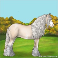 Horse Color:Silver Amber Champagne Pearl Sabino 