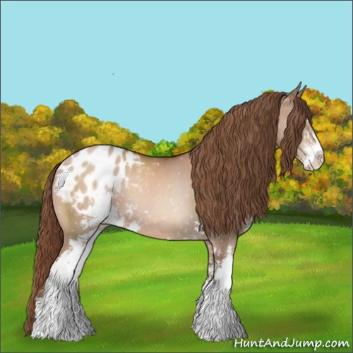 Horse Color:Bay Pearl Sabino Blanket