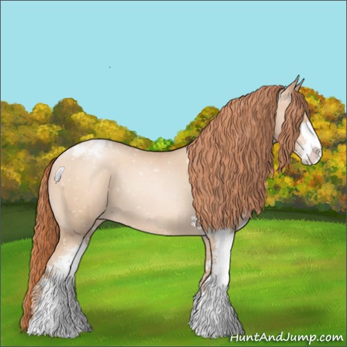 Horse Color:Amber Champagne Pearl Sabino Snowflake Varnish 