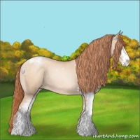 Horse Color:Amber Champagne Pearl Sabino Snowflake Varnish 