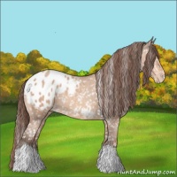 Horse Color:Sable Champagne Blanket 