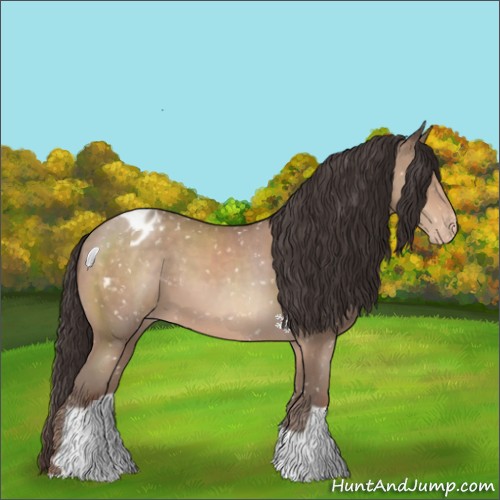 Horse Color:Sable Champagne Appaloosa 