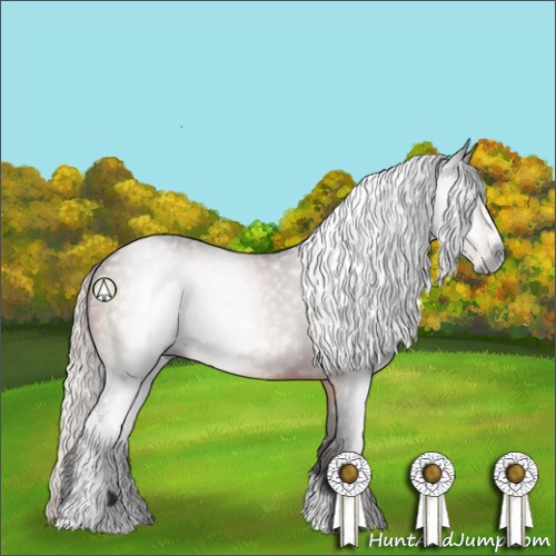 Horse Color:Gray Silver Brown Sabino 