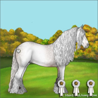 Horse Color:Gray Silver Brown Sabino