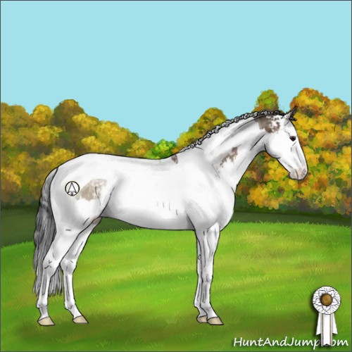 Horse Color:White Spotted Brown Dun Splash Tobiano Rabicano 