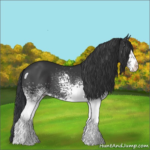 Horse Color:White Spotted Black 