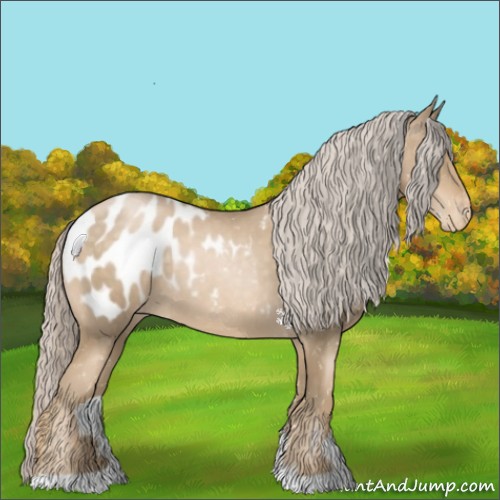 Horse Color:Chocolate Palomino Pearl Appaloosa 