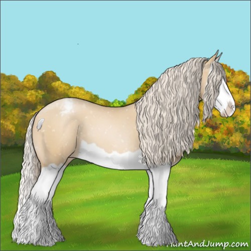 Horse Color:Palomino Pearl Splash Appaloosa 