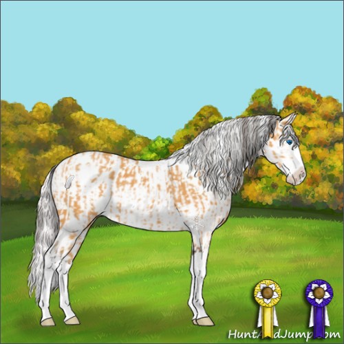 Horse Color:White Spotted Buckskin Sabino Splash  and White Spotted Smoky Creme Sabino Appaloosa 
