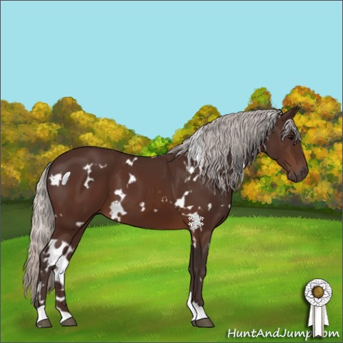Horse Color:White Spotted Silver Brown 
