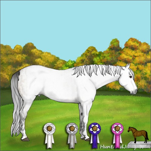 Horse Color:Gray Brown Dun Sabino Rabicano and Gray White Spotted Brown Dun Splash Rabicano
