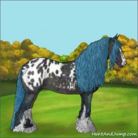Horse Color:Watercolor Midnight Bay Ice Sabino Appaloosa 