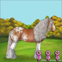 Horse Color:White Spotted Silver Brown Blanket