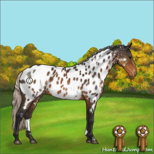 Horse Color:White Spotted Silver Buckskin Near Leopard 