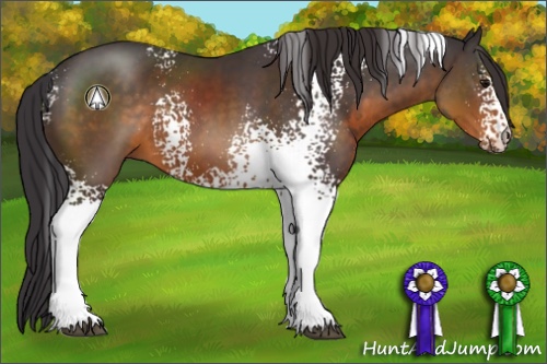 Horse Color:White Spotted Buckskin 