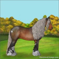 Horse Color:Silver Buckskin Sabino 