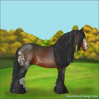 Horse Color:White Spotted Brown 