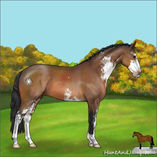 Horse Color:Bay Sabino 